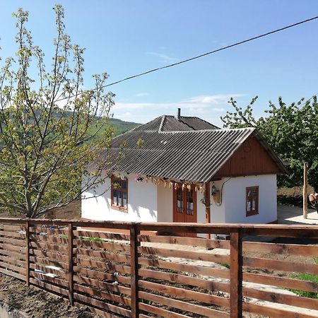Willa Pensiunea Turistica "Casa Rustica" Chiscareni Zewnętrze zdjęcie
