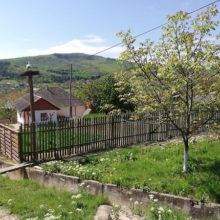 Willa Pensiunea Turistica "Casa Rustica" Chiscareni Zewnętrze zdjęcie