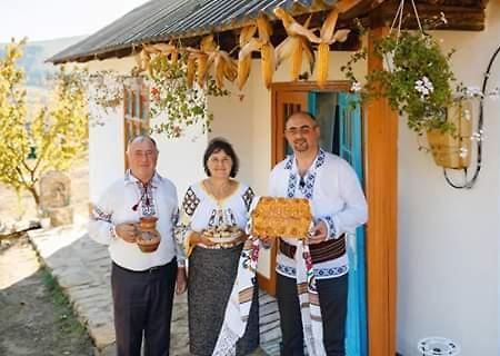Willa Pensiunea Turistica "Casa Rustica" Chiscareni Zewnętrze zdjęcie