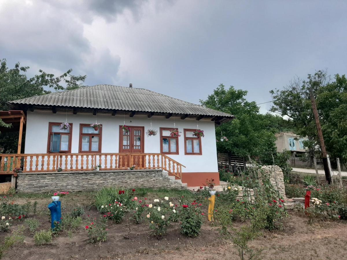 Willa Pensiunea Turistica "Casa Rustica" Chiscareni Zewnętrze zdjęcie