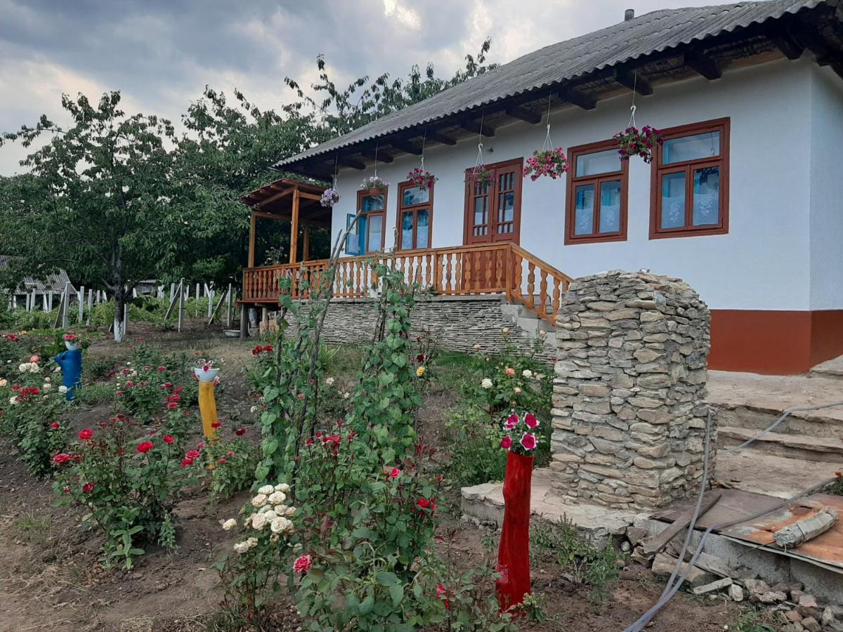 Willa Pensiunea Turistica "Casa Rustica" Chiscareni Zewnętrze zdjęcie