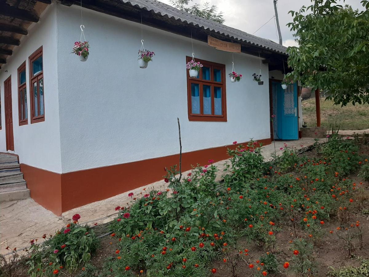 Willa Pensiunea Turistica "Casa Rustica" Chiscareni Zewnętrze zdjęcie