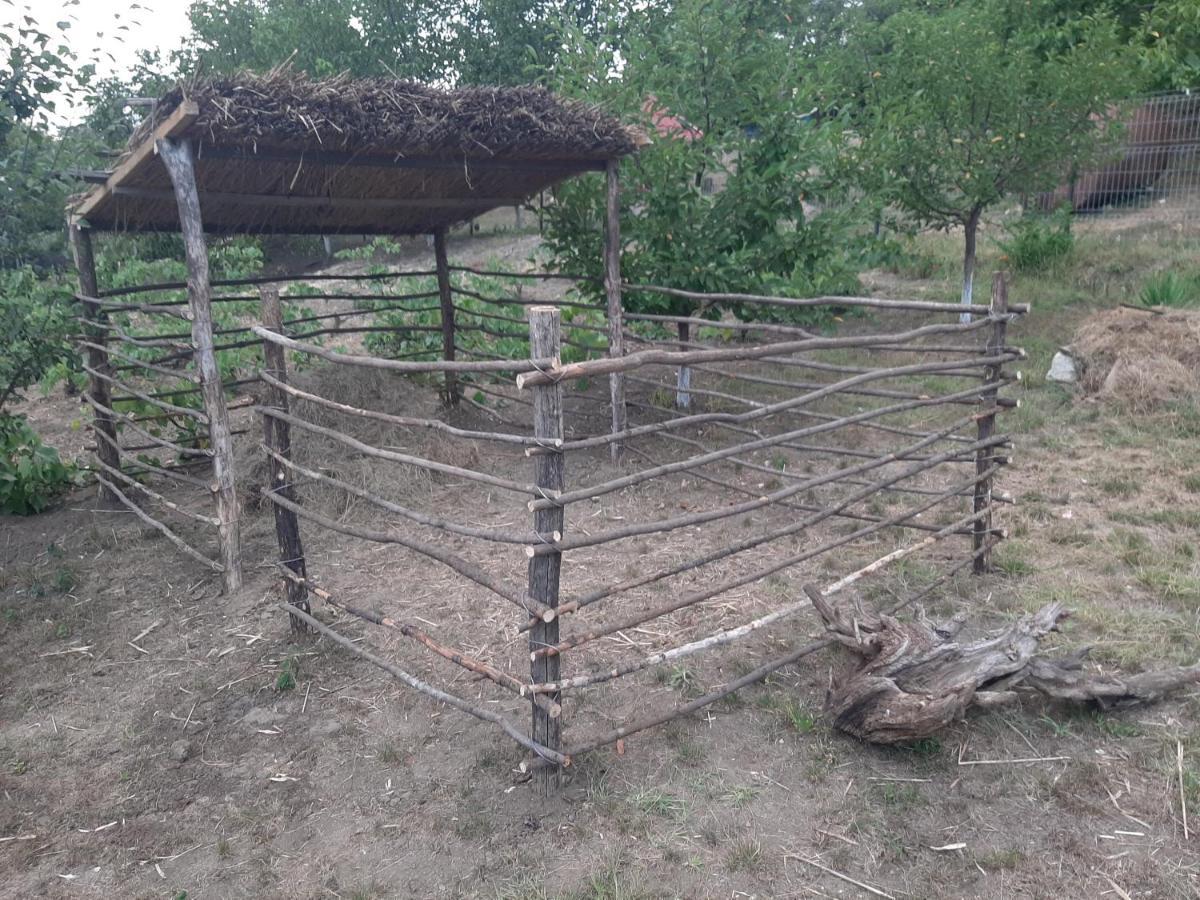 Willa Pensiunea Turistica "Casa Rustica" Chiscareni Zewnętrze zdjęcie