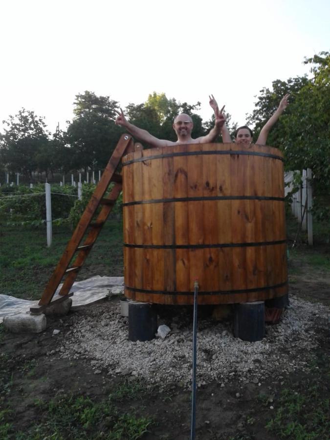 Willa Pensiunea Turistica "Casa Rustica" Chiscareni Zewnętrze zdjęcie