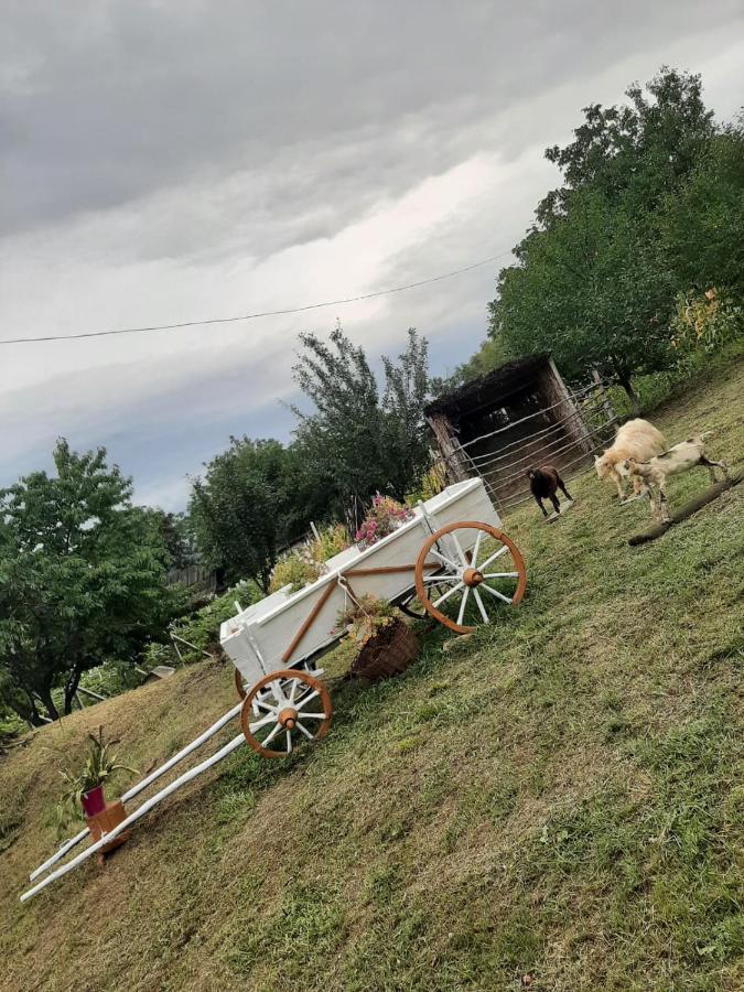 Willa Pensiunea Turistica "Casa Rustica" Chiscareni Zewnętrze zdjęcie