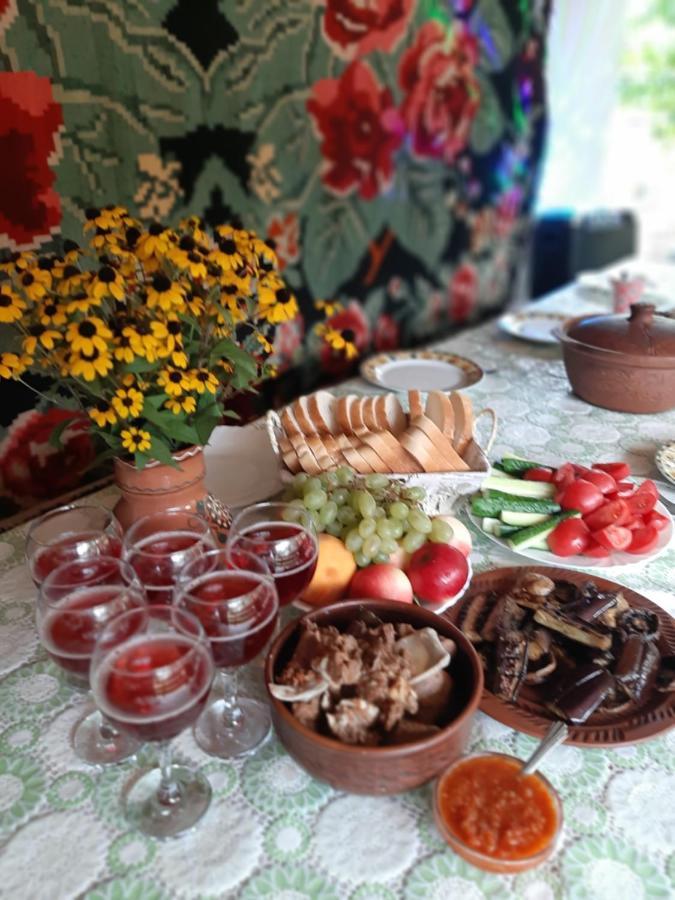 Willa Pensiunea Turistica "Casa Rustica" Chiscareni Zewnętrze zdjęcie