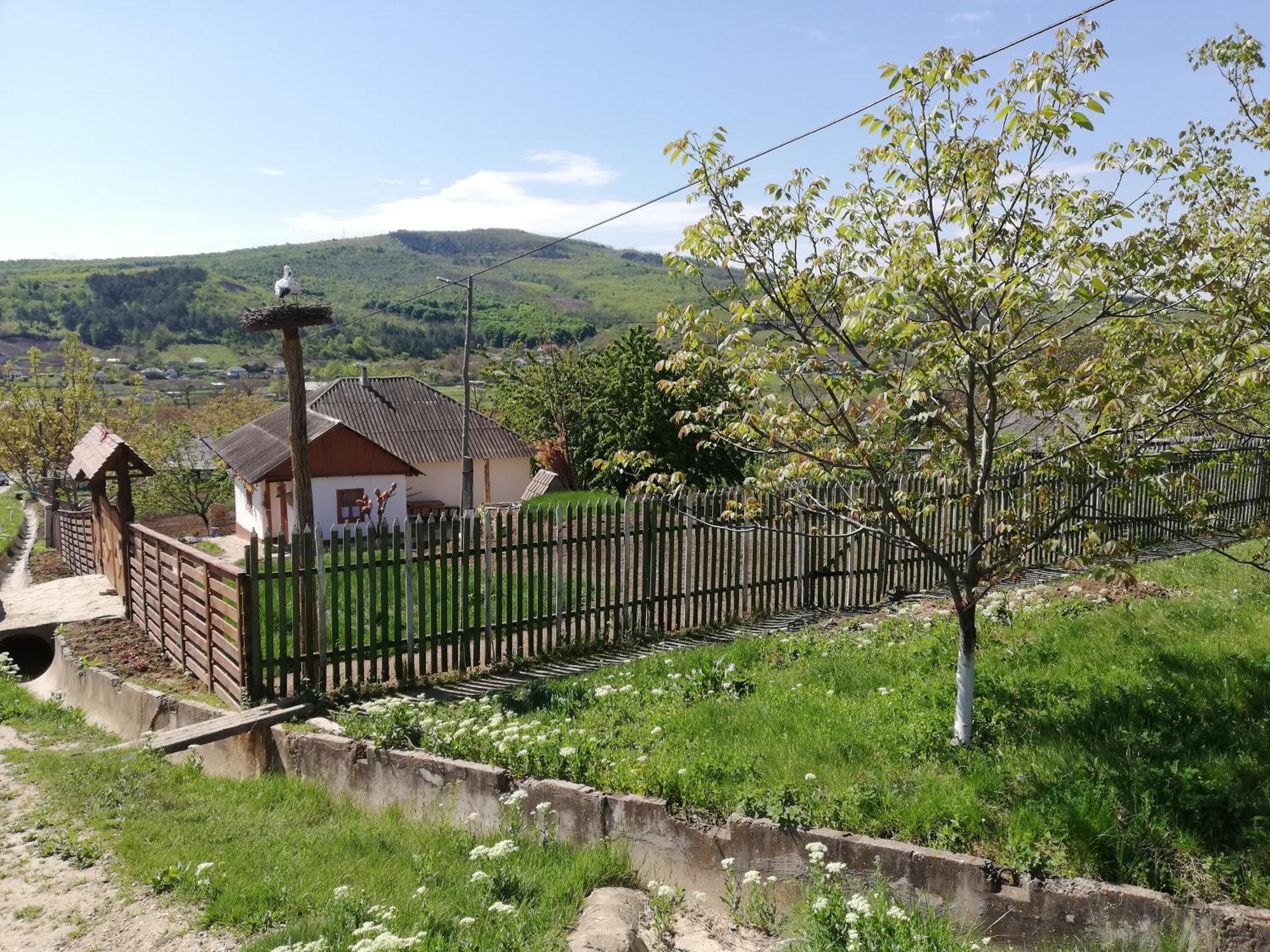 Willa Pensiunea Turistica "Casa Rustica" Chiscareni Zewnętrze zdjęcie