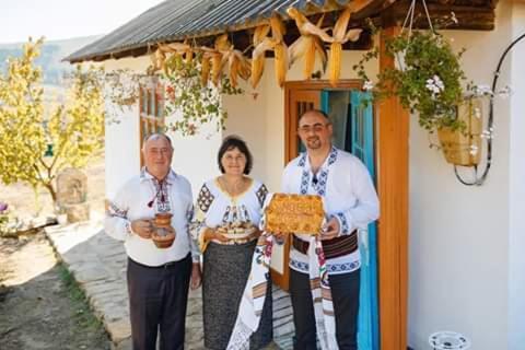 Willa Pensiunea Turistica "Casa Rustica" Chiscareni Zewnętrze zdjęcie