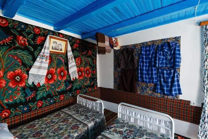 Willa Pensiunea Turistica "Casa Rustica" Chiscareni Zewnętrze zdjęcie