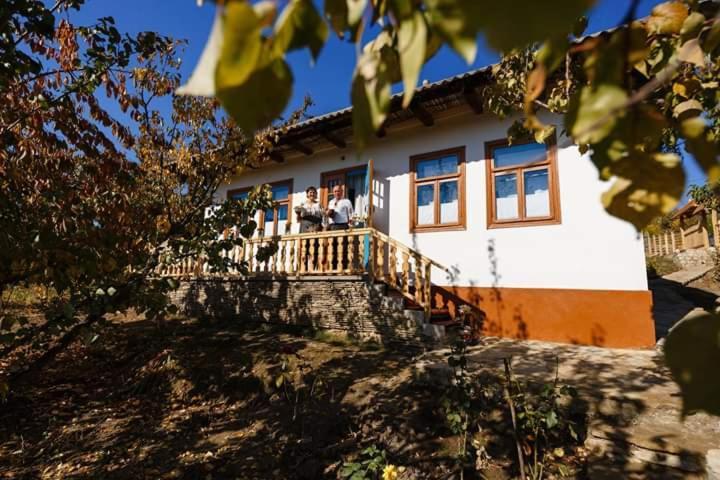Willa Pensiunea Turistica "Casa Rustica" Chiscareni Zewnętrze zdjęcie