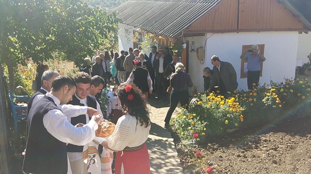 Willa Pensiunea Turistica "Casa Rustica" Chiscareni Zewnętrze zdjęcie