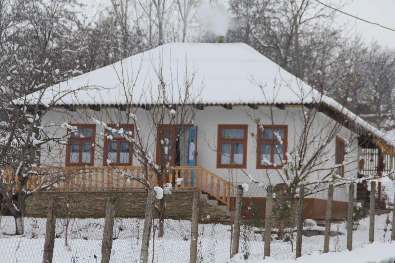 Willa Pensiunea Turistica "Casa Rustica" Chiscareni Zewnętrze zdjęcie