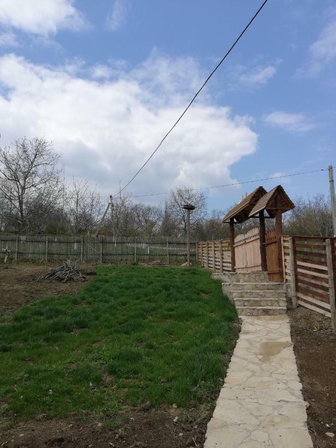 Willa Pensiunea Turistica "Casa Rustica" Chiscareni Zewnętrze zdjęcie