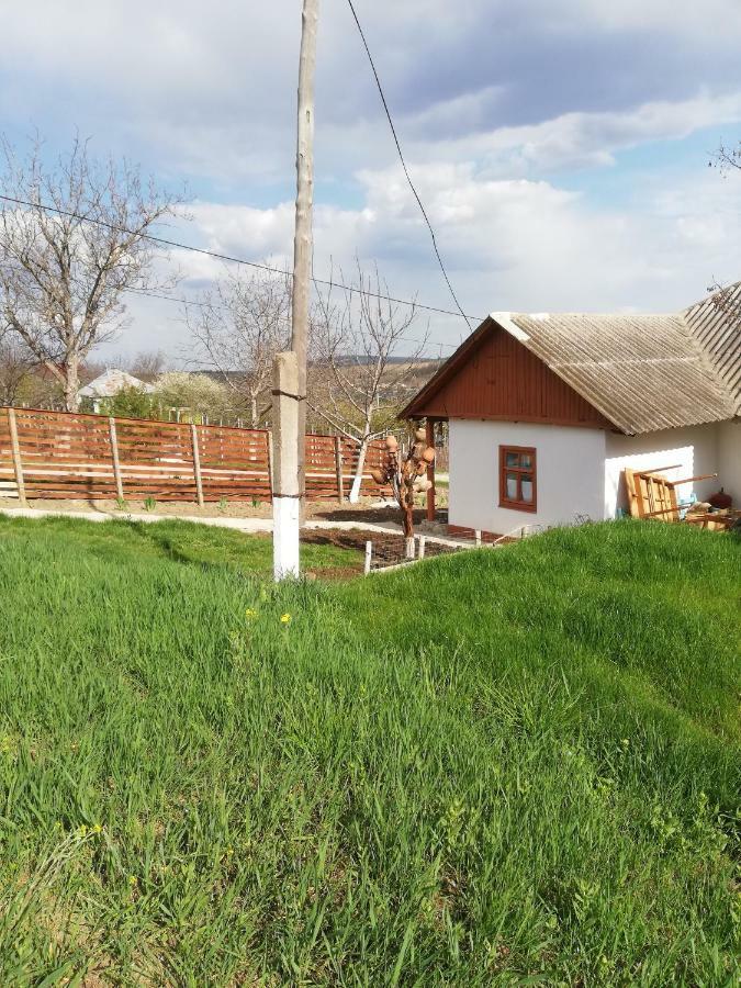 Willa Pensiunea Turistica "Casa Rustica" Chiscareni Zewnętrze zdjęcie