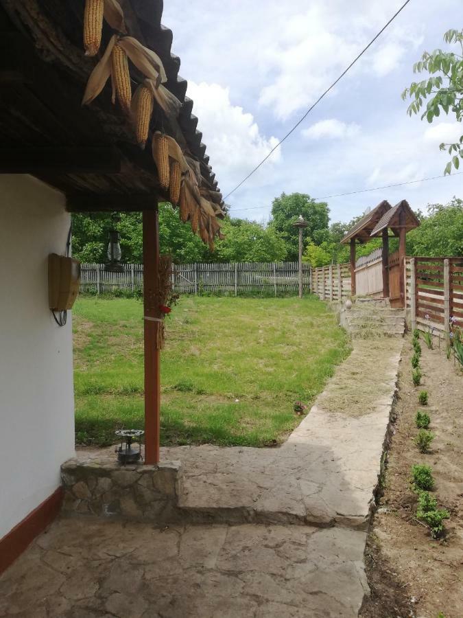 Willa Pensiunea Turistica "Casa Rustica" Chiscareni Zewnętrze zdjęcie