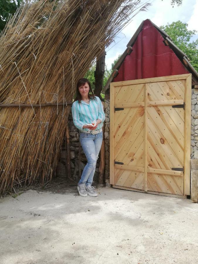 Willa Pensiunea Turistica "Casa Rustica" Chiscareni Zewnętrze zdjęcie