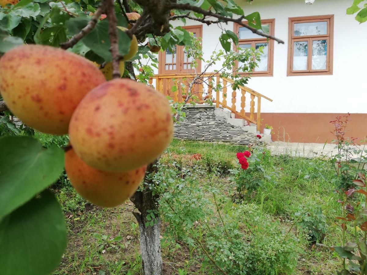 Willa Pensiunea Turistica "Casa Rustica" Chiscareni Zewnętrze zdjęcie