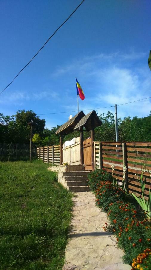 Willa Pensiunea Turistica "Casa Rustica" Chiscareni Zewnętrze zdjęcie