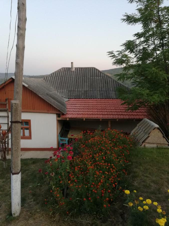 Willa Pensiunea Turistica "Casa Rustica" Chiscareni Zewnętrze zdjęcie