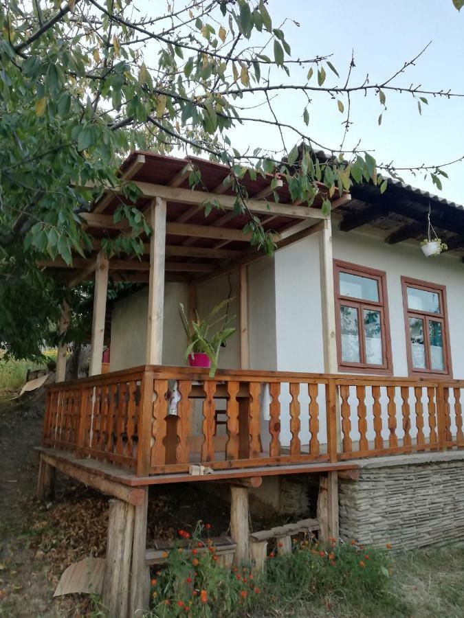 Willa Pensiunea Turistica "Casa Rustica" Chiscareni Zewnętrze zdjęcie
