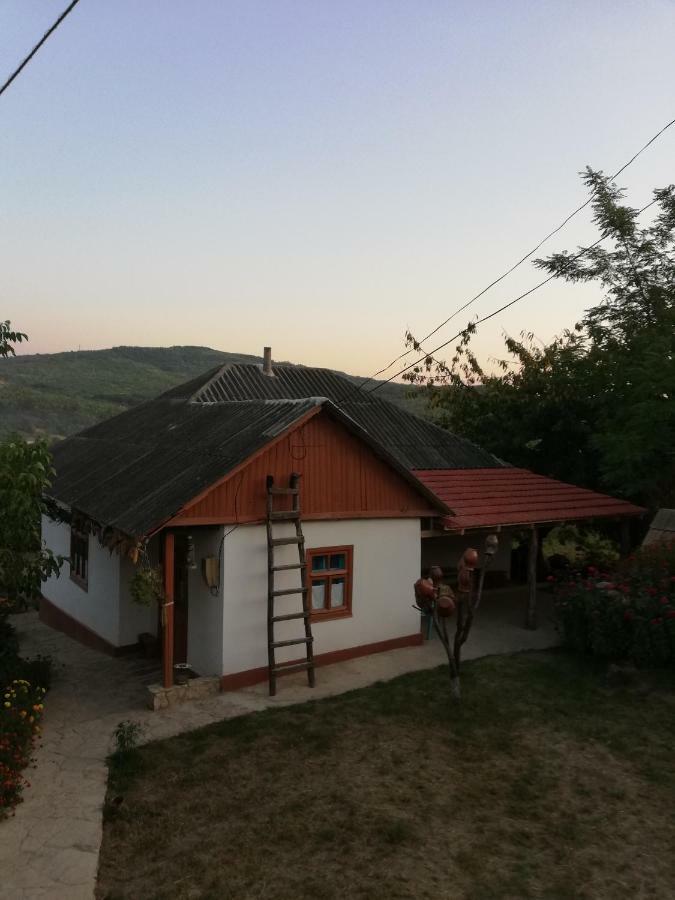 Willa Pensiunea Turistica "Casa Rustica" Chiscareni Zewnętrze zdjęcie