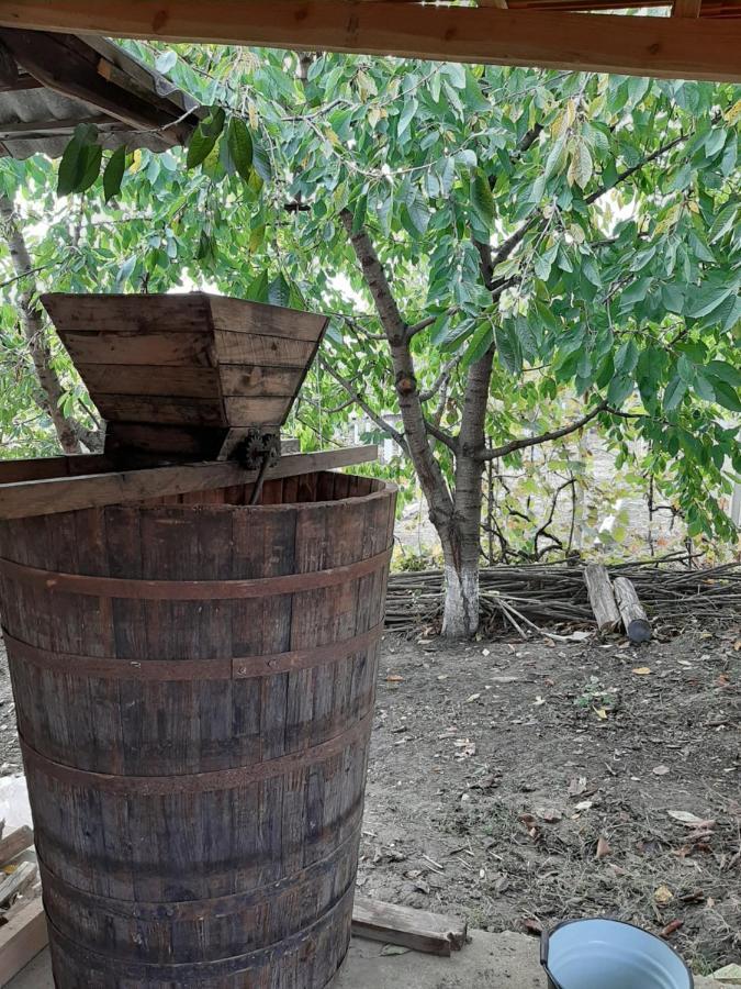 Willa Pensiunea Turistica "Casa Rustica" Chiscareni Zewnętrze zdjęcie