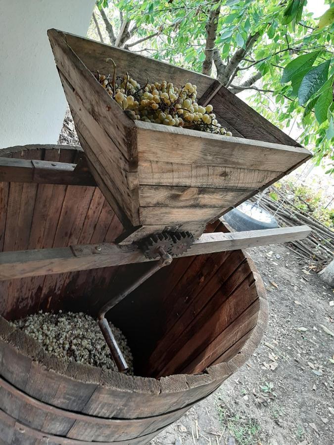 Willa Pensiunea Turistica "Casa Rustica" Chiscareni Zewnętrze zdjęcie
